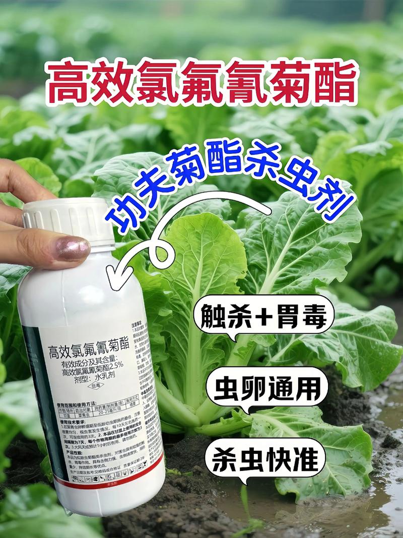 乐东代生中心:农药对供卵代生妈妈的危害